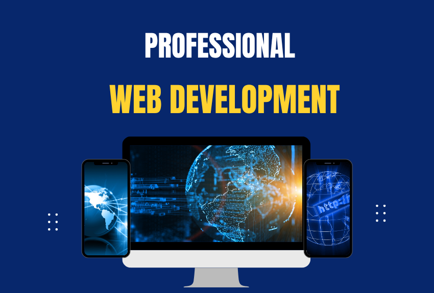 professional web development services